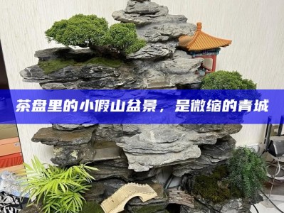 茶盘里的小假山盆景，是微缩的青城
