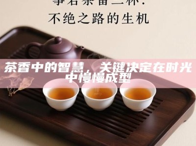 茶香中的智慧，关键决定在时光中慢慢成型