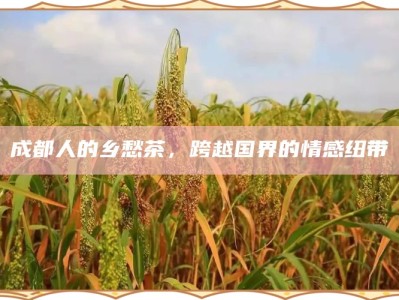 成都人的乡愁茶，跨越国界的情感纽带