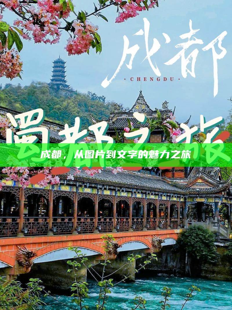 成都，从图片到文字的魅力之旅