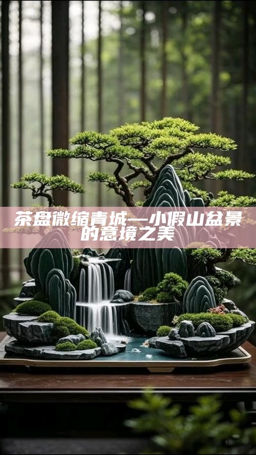茶盘微缩青城—小假山盆景的意境之美
