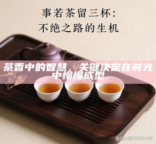 茶香中的智慧，关键决定在时光中慢慢成型